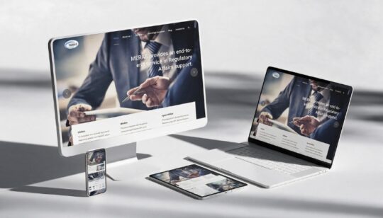 MERAS Consulting web