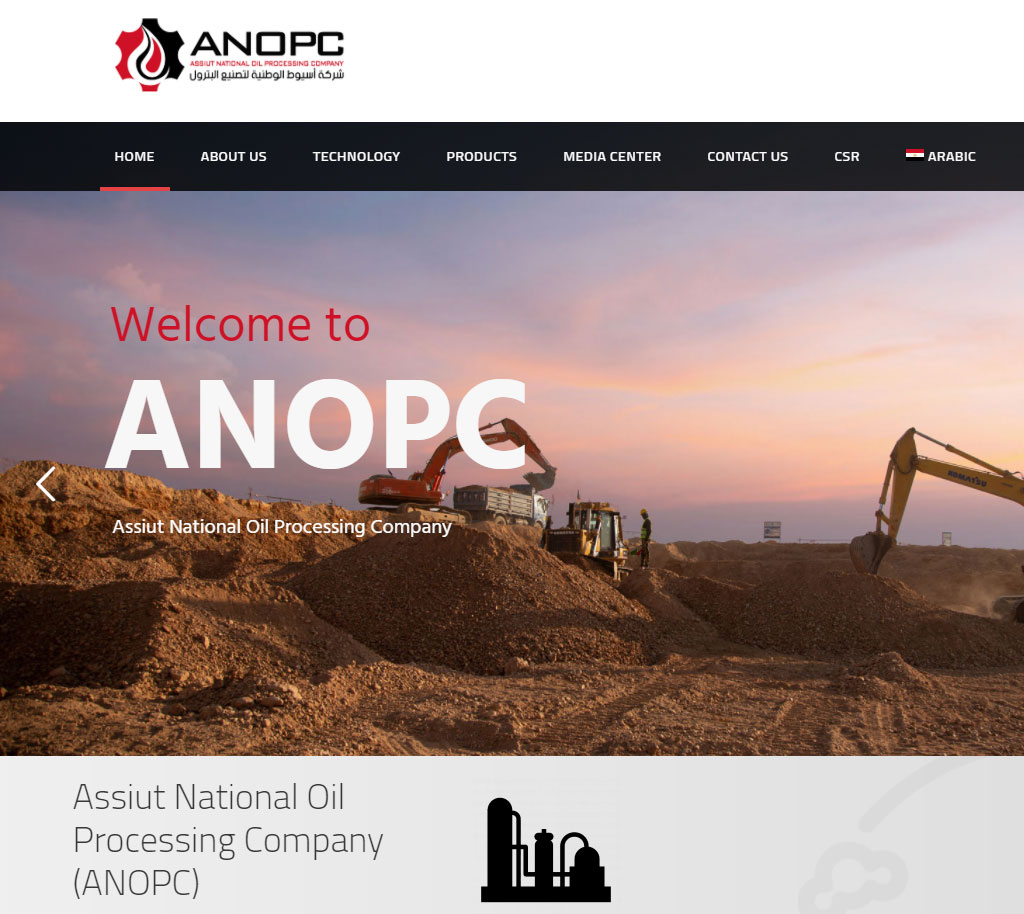Digital marketing agency - portfolio ANOPC