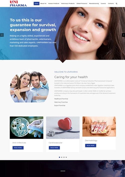 Digital marketing agency - Premier