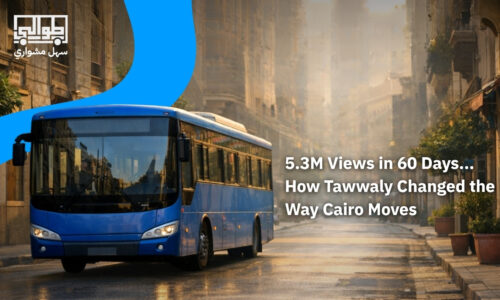 Launching a Government-Backed Platform in 60 Days